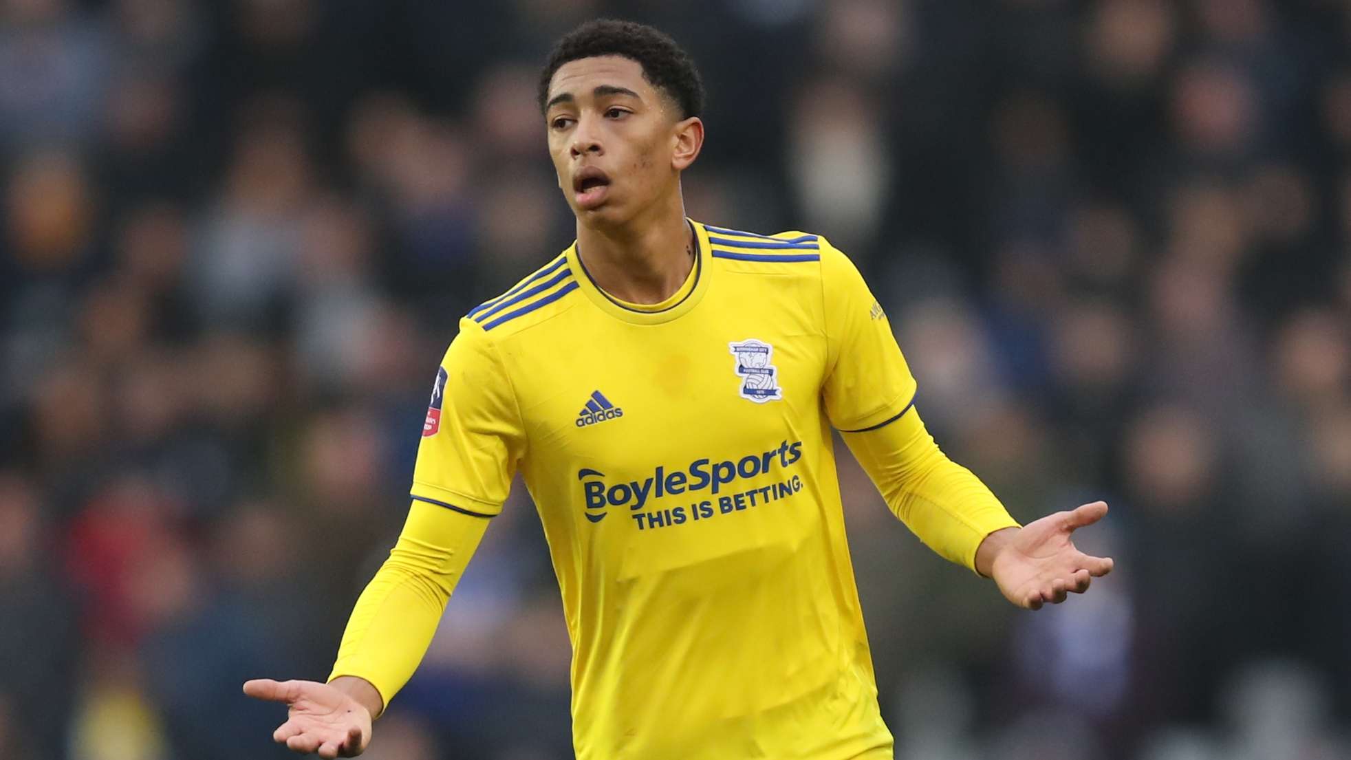 也将对整个 也将对整个