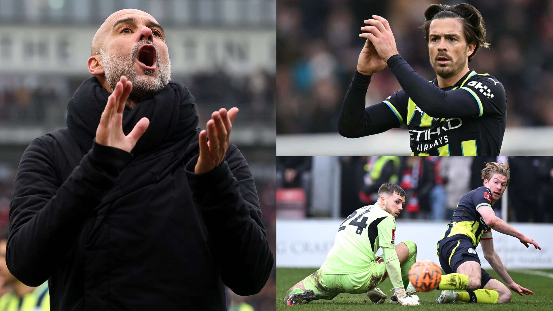 读者将更全 读者将更全