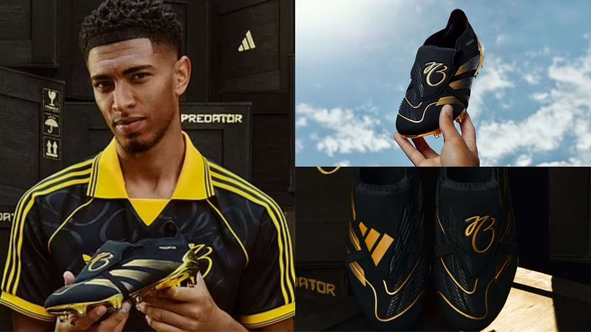 迷精准判断 迷精准判断